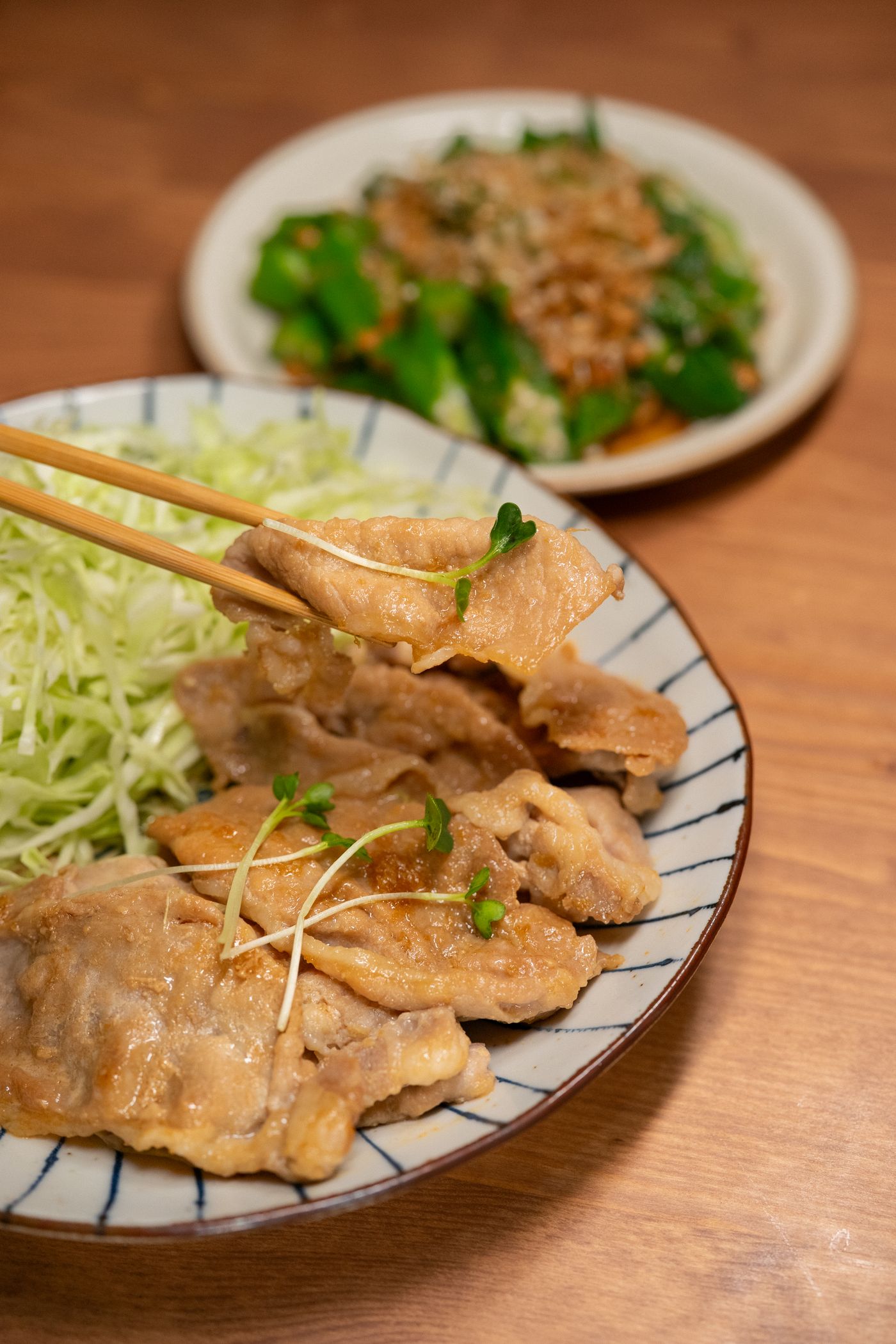 豚肉と千切りキャベツを盛りつけた家庭の食卓