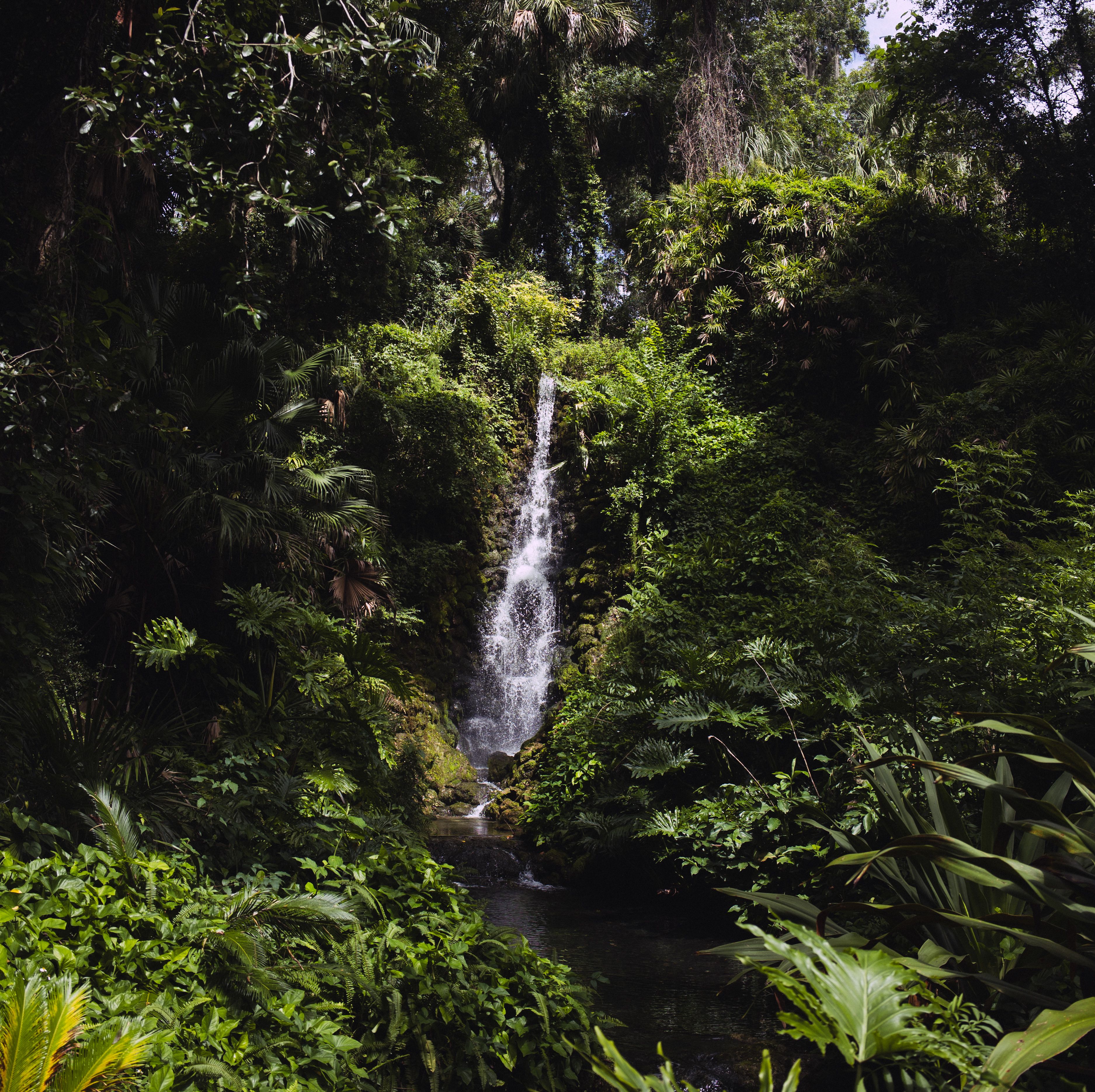 Aliran air terjun di hutan tropis hijau mirip suasana Tumpak Sewu Lumajang
