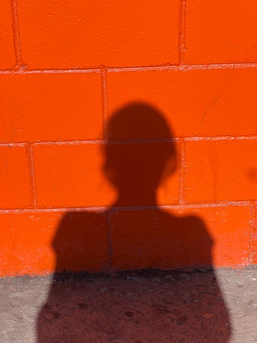 Free Creative shadow silhouette on a bright orange brick wall, highlighting contrast and texture. Stock Photo