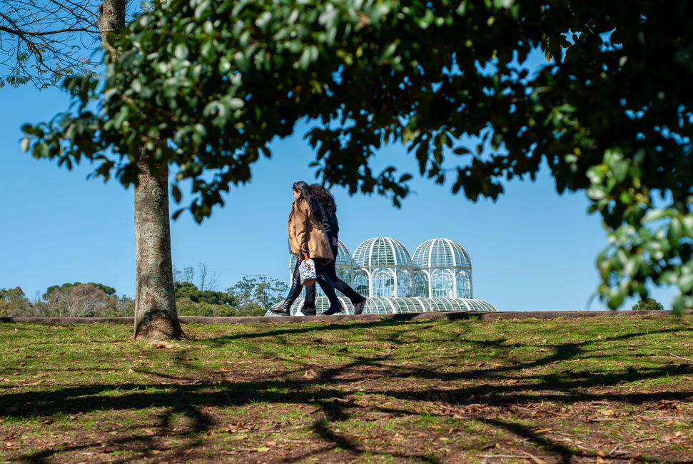 Como a Inteligência Artificial está Impactando Curitiba