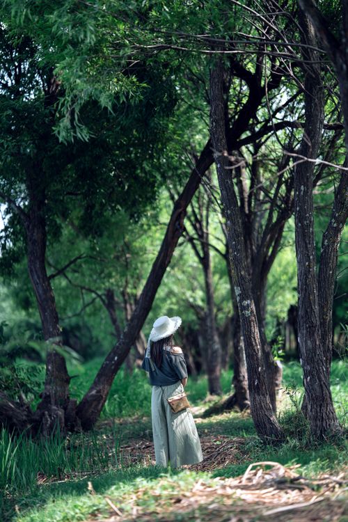 Free A woman in a wide-brimmed hat strolls amidst tall trees on a sunlit forest path, exuding calm and tranquility. Stock Photo