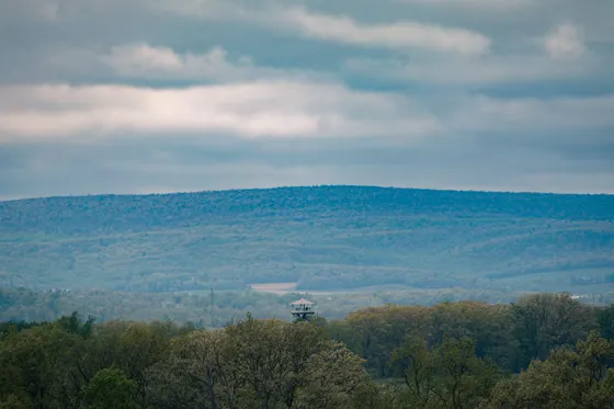An overlook across the George Washington National Forest