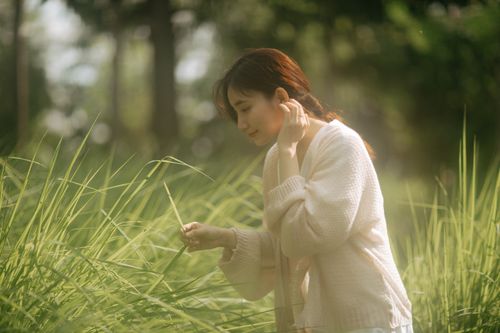Free A serene moment of a young woman exploring lush greenery outdoors on a sunny day. Stock Photo