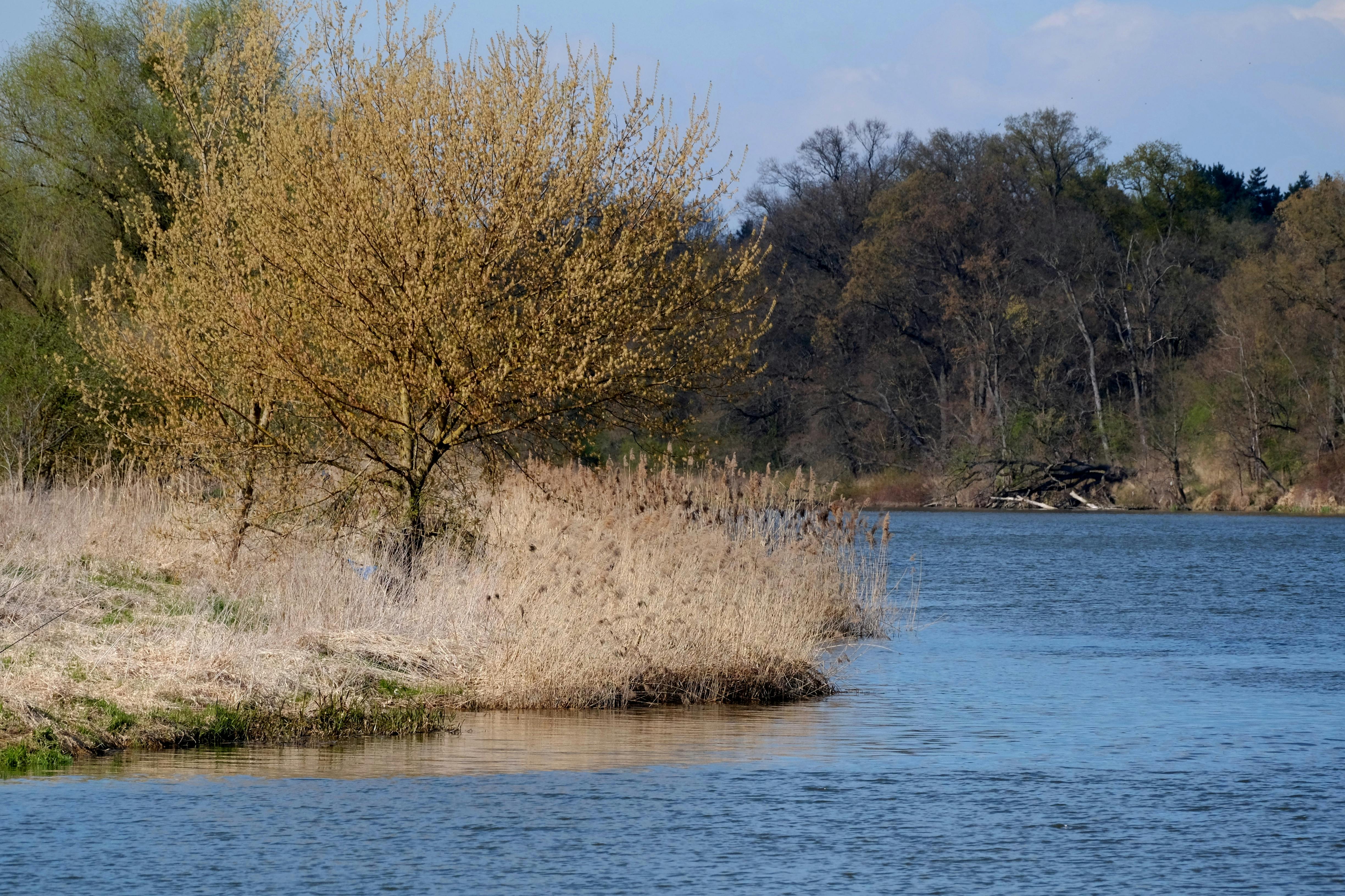 Get Ready for Spring Adventures at the Erie RV and Outdoor Adventure Show — Photo by Roman Biernacki on Pexels