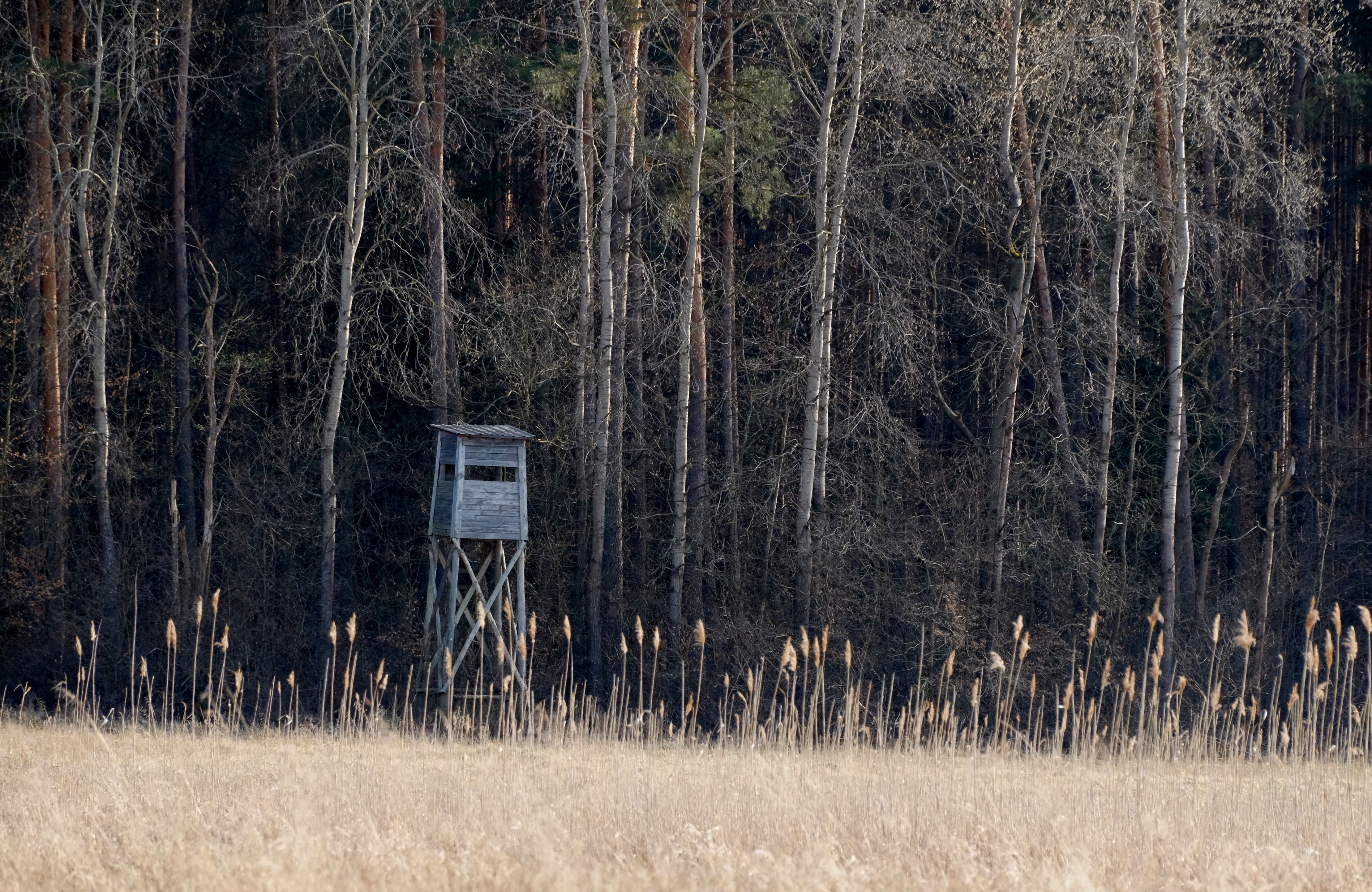 How the Rise of Military-Style Drones Impacts SMEs: Security, Innovation, and Compliance
