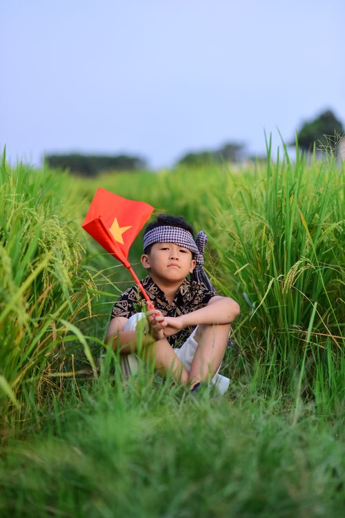 Free A child holding a Vietnamese flag sits in a lush rice field during twilight. Stock Photo