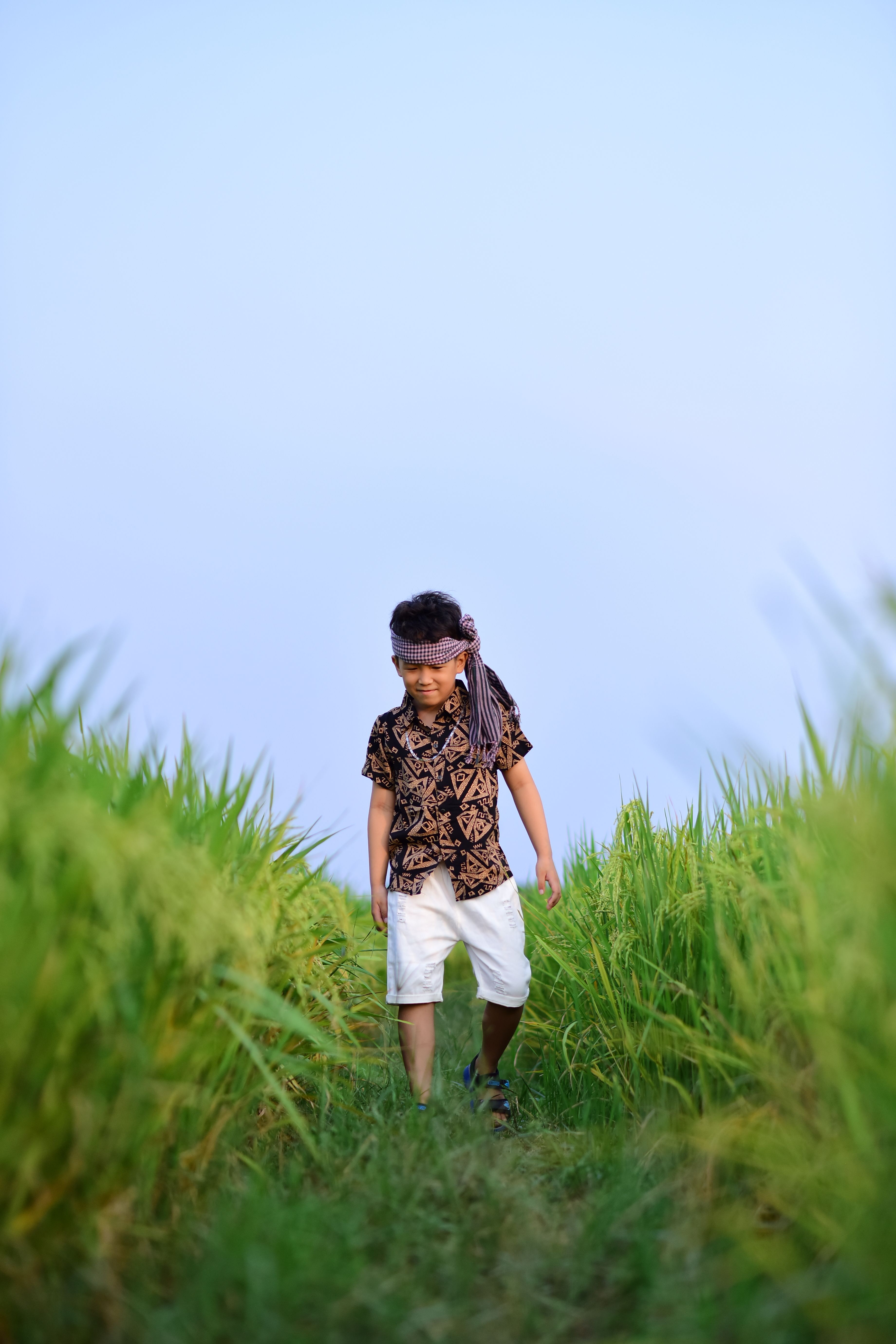 Young Boy Walking Through Lush Green Rice Field · Free Stock Photo