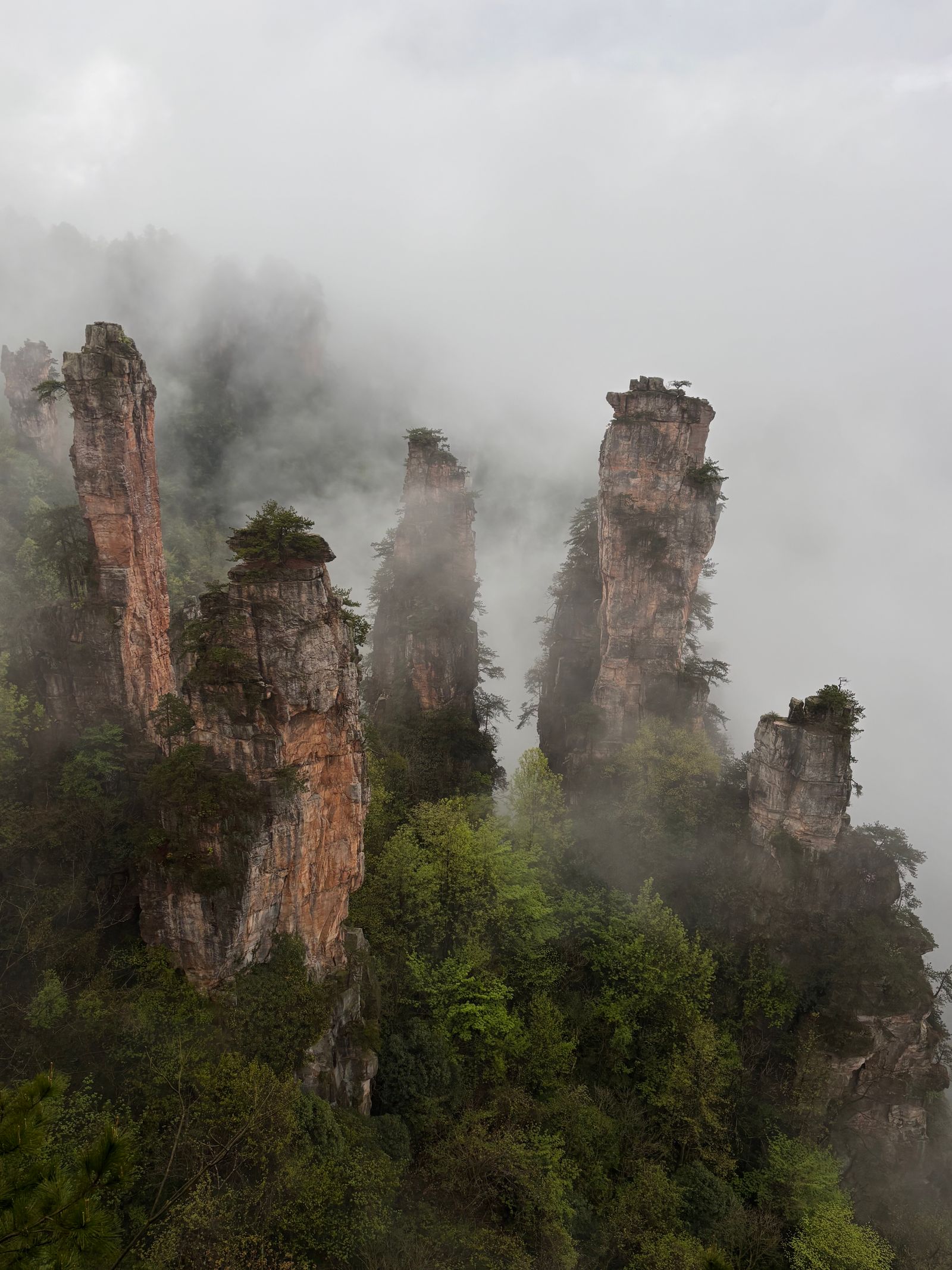 Mgliste kamienne filary w Zhangjiajie National Forest Park w Chinach