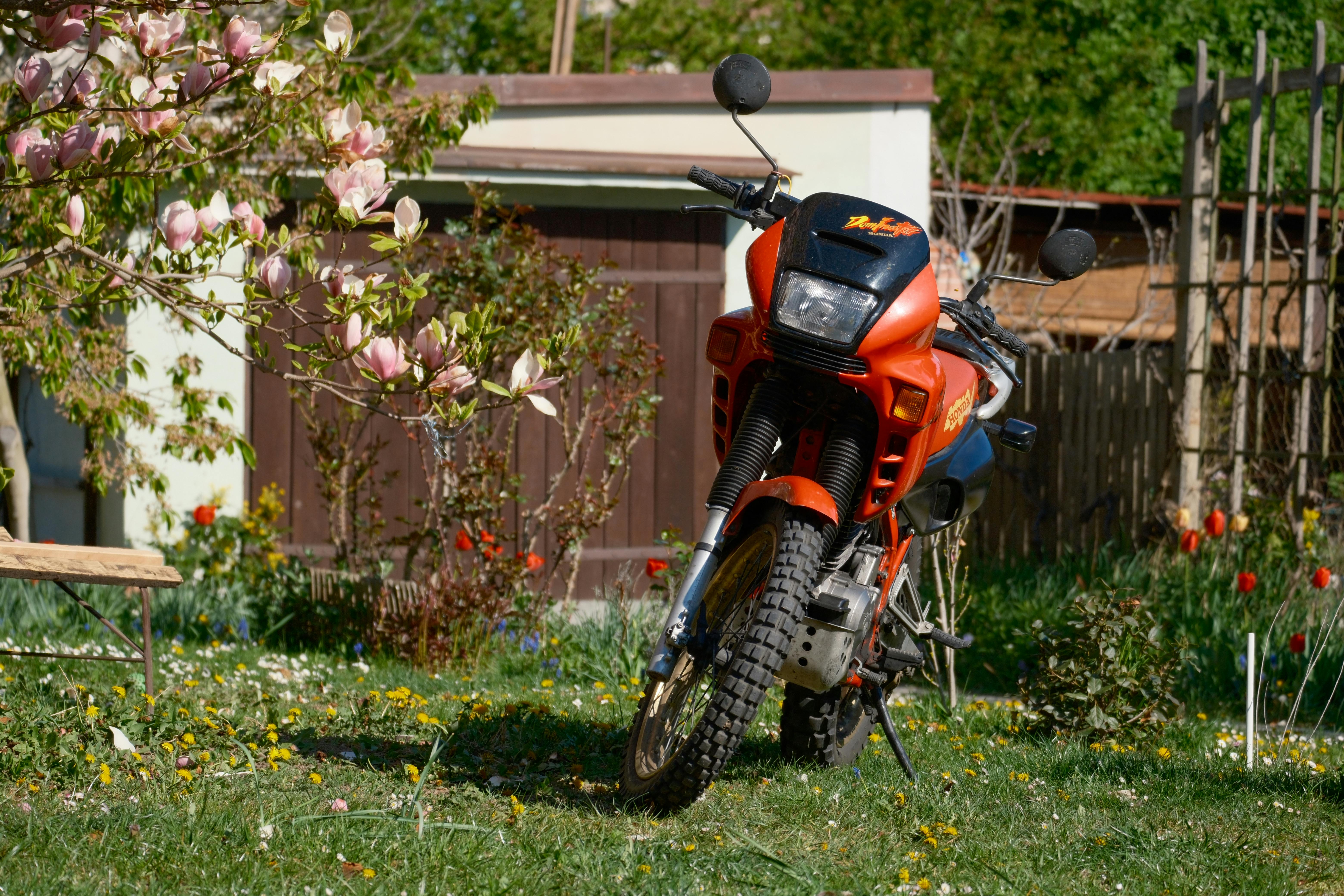 motorcycles & powersports s.r.o — Photo by Tom Jurman on Pexels