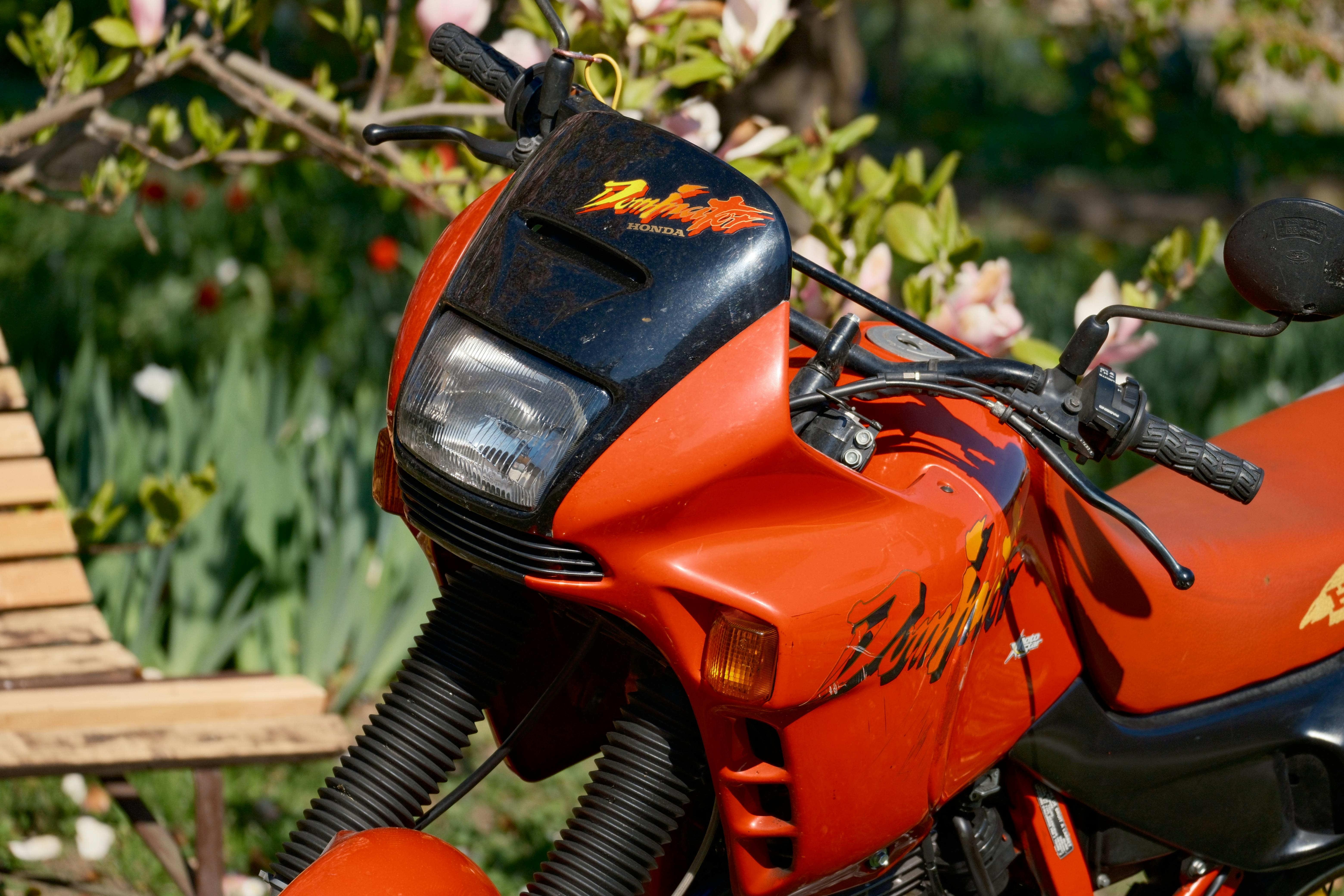 Motorcycle for sale in Bathurst: Laws, Costs, and Ownership Guide