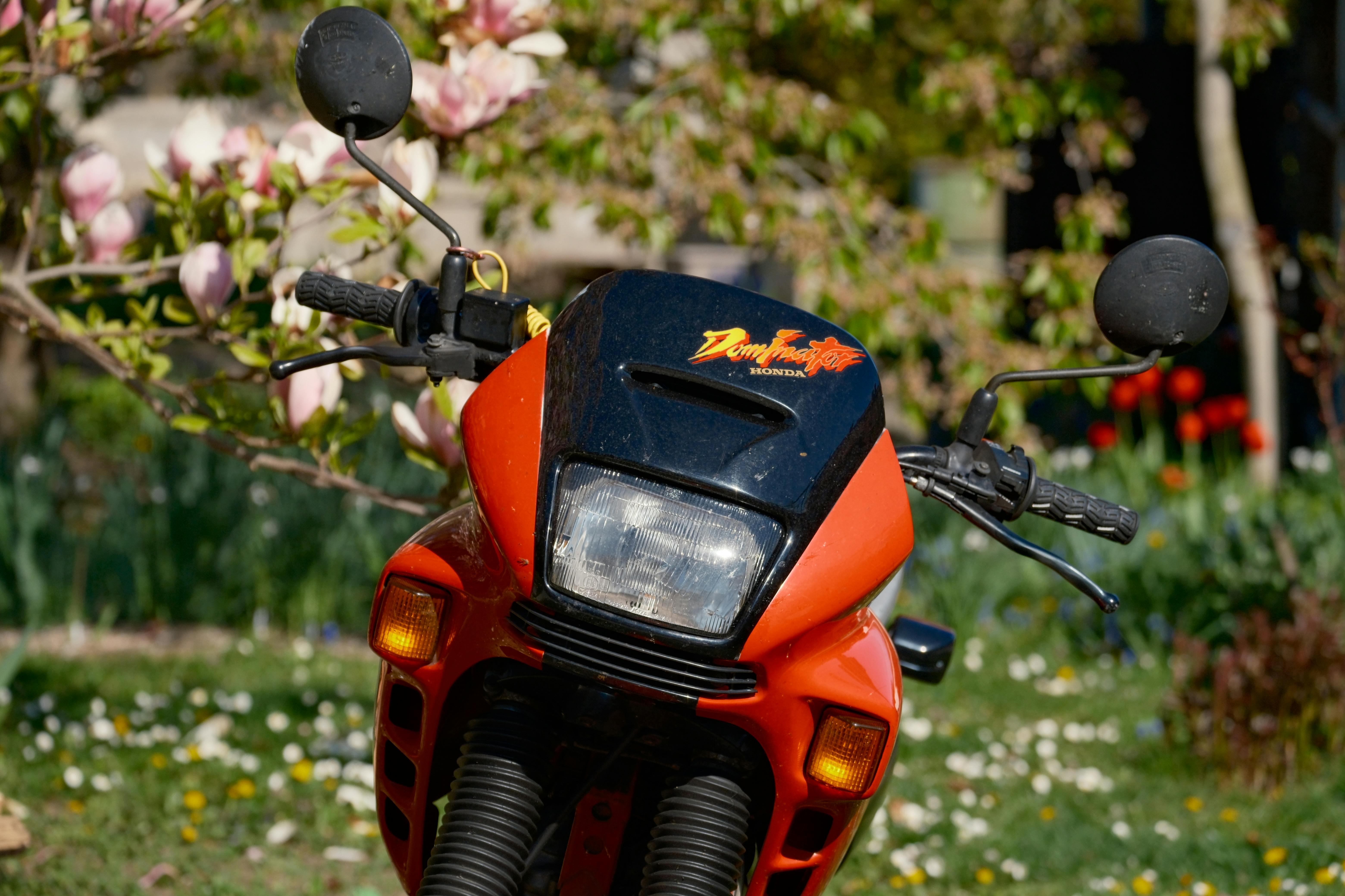 motorcycles & powersports s.r.o motorcycle powersports news — Photo by Tom Jurman on Pexels
