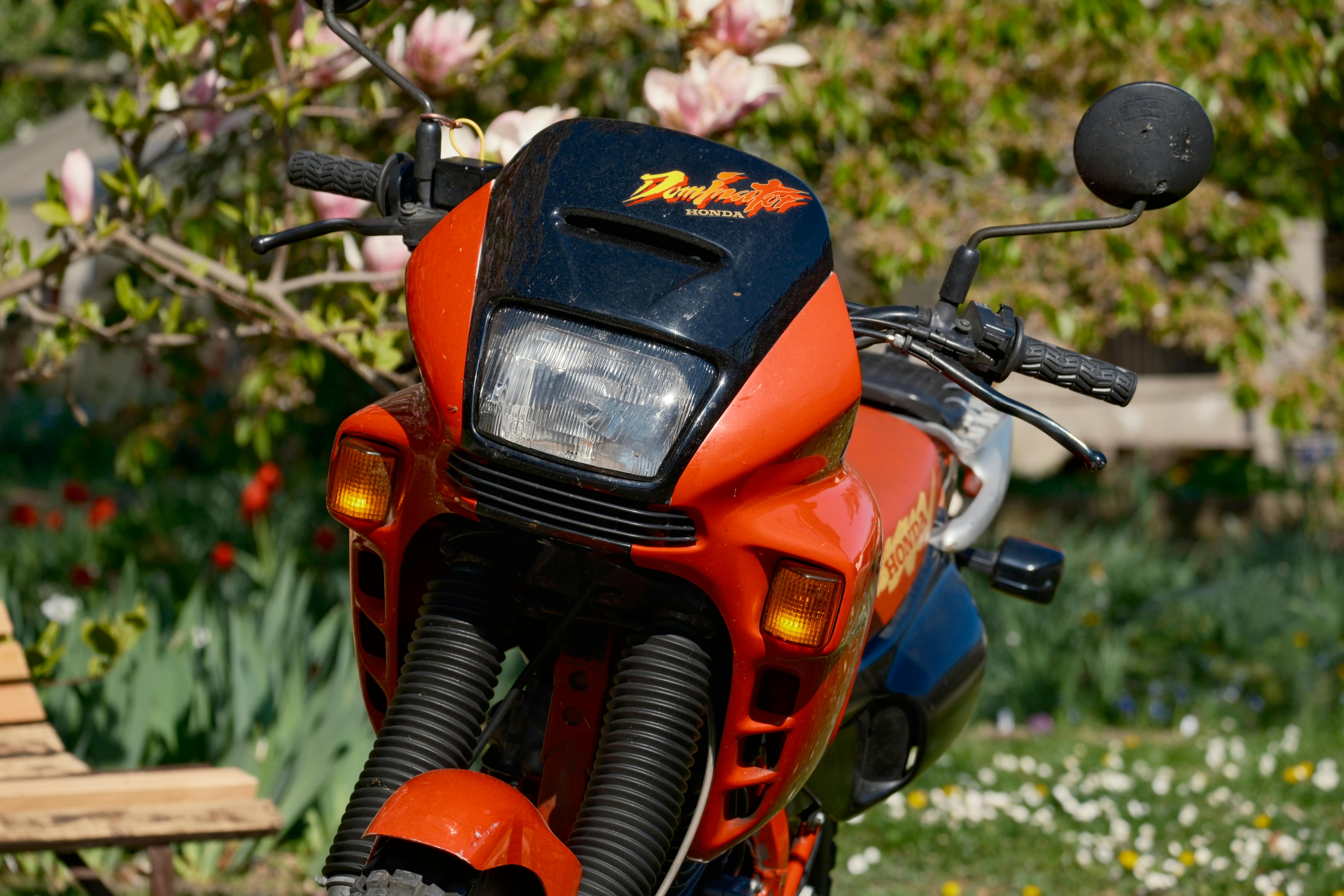 motorcycles & powersports s.r.o motorcycle powersports bc — Photo by Tom Jurman on Pexels