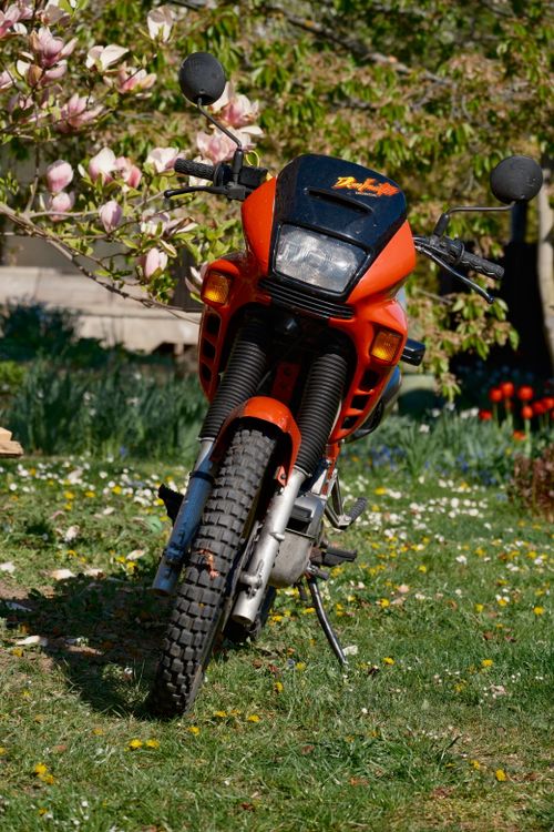 Free A vibrant red dirt bike stands amidst blooming flowers in a garden. Stock Photo