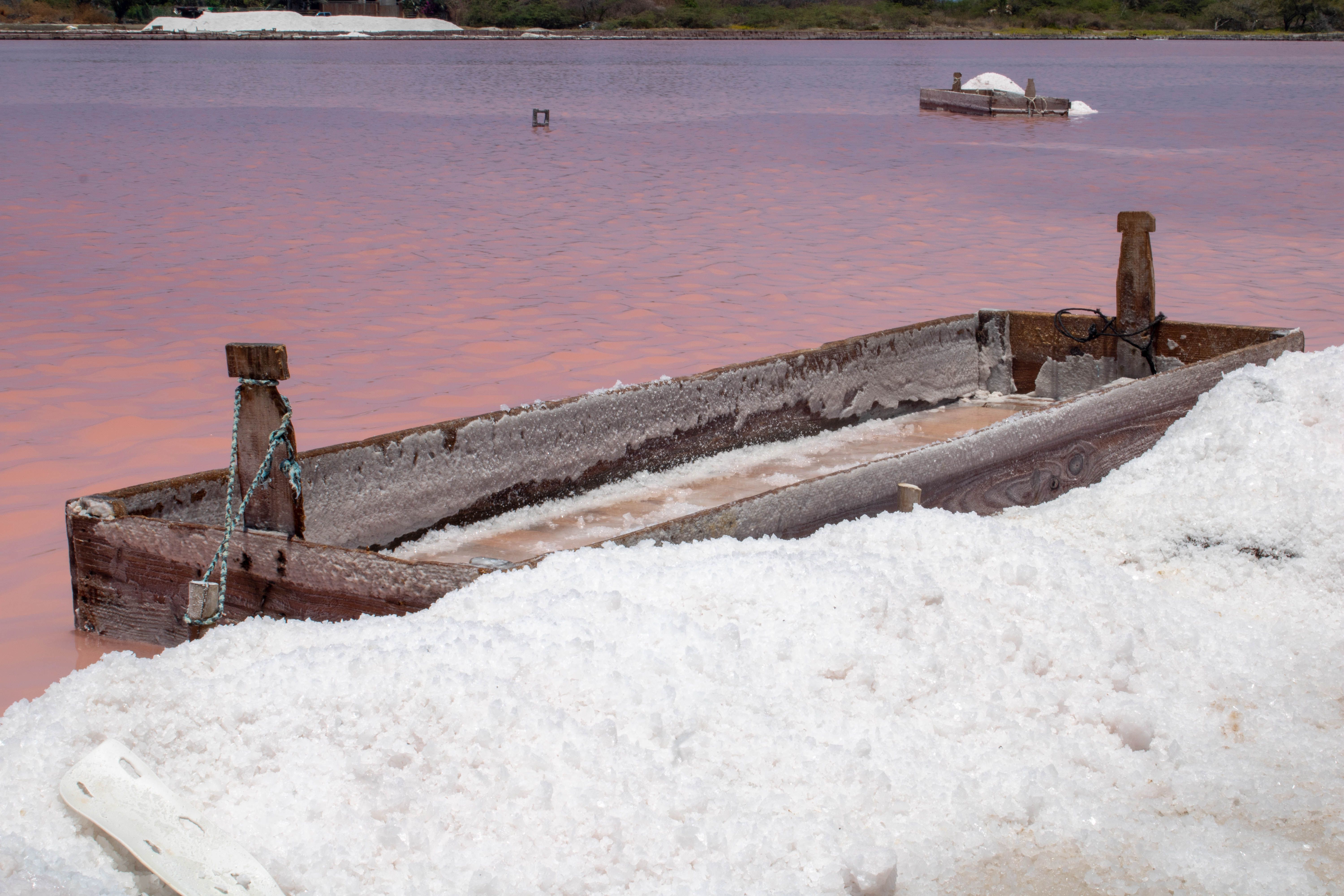 Traditional salt harvesting on pink lake, Comoros