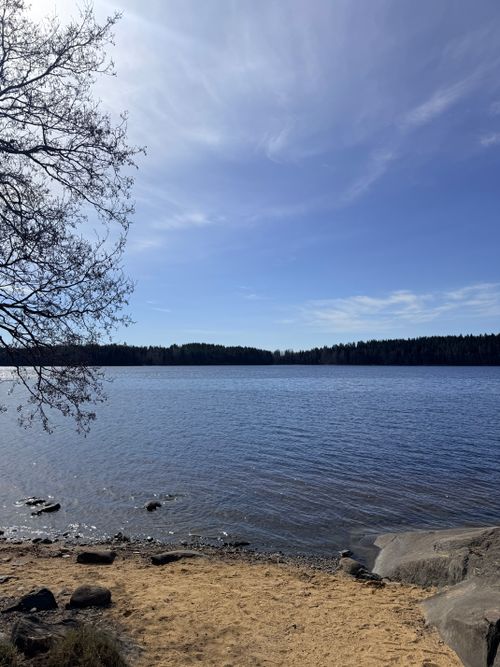 Free Tranquil lake view with sandy shore and forested horizon in Savonlinna, Finland. Stock Photo