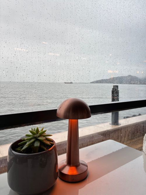 Free Peaceful seaside scene through rainy window, featuring succulent plant and copper lamp on table. Stock Photo