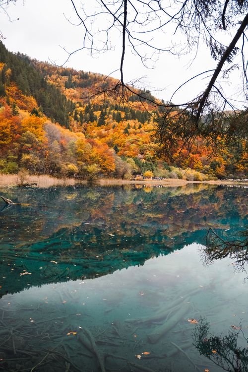 Free Vibrant fall foliage reflected in a tranquil lake in Jiuzhaigou Valley, Sichuan. Stock Photo