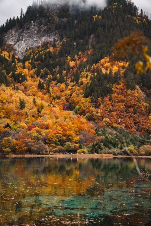 Free Breathtaking autumn landscape in Jiuzhaigou, Sichuan with vibrant fall foliage reflected in a tranquil lake. Stock Photo