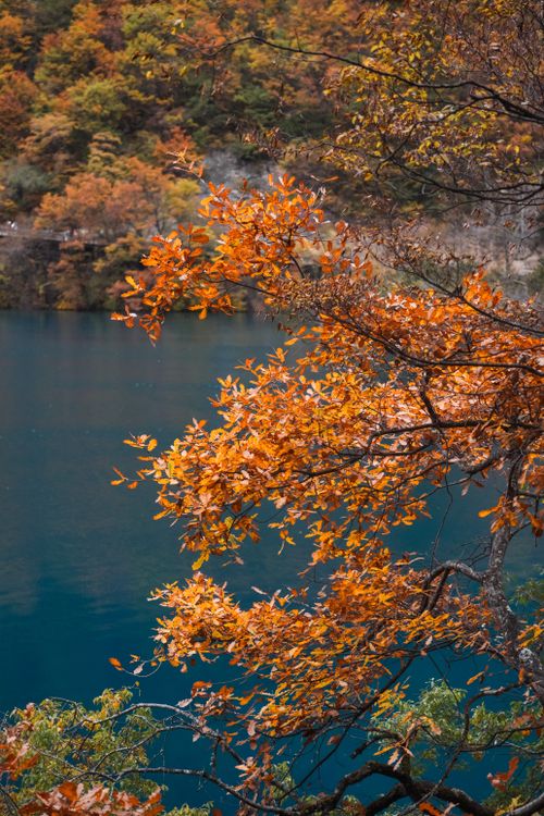Free Stunning autumn foliage by a serene blue lake in Sichuan, China, showcasing vibrant seasonal colors. Stock Photo