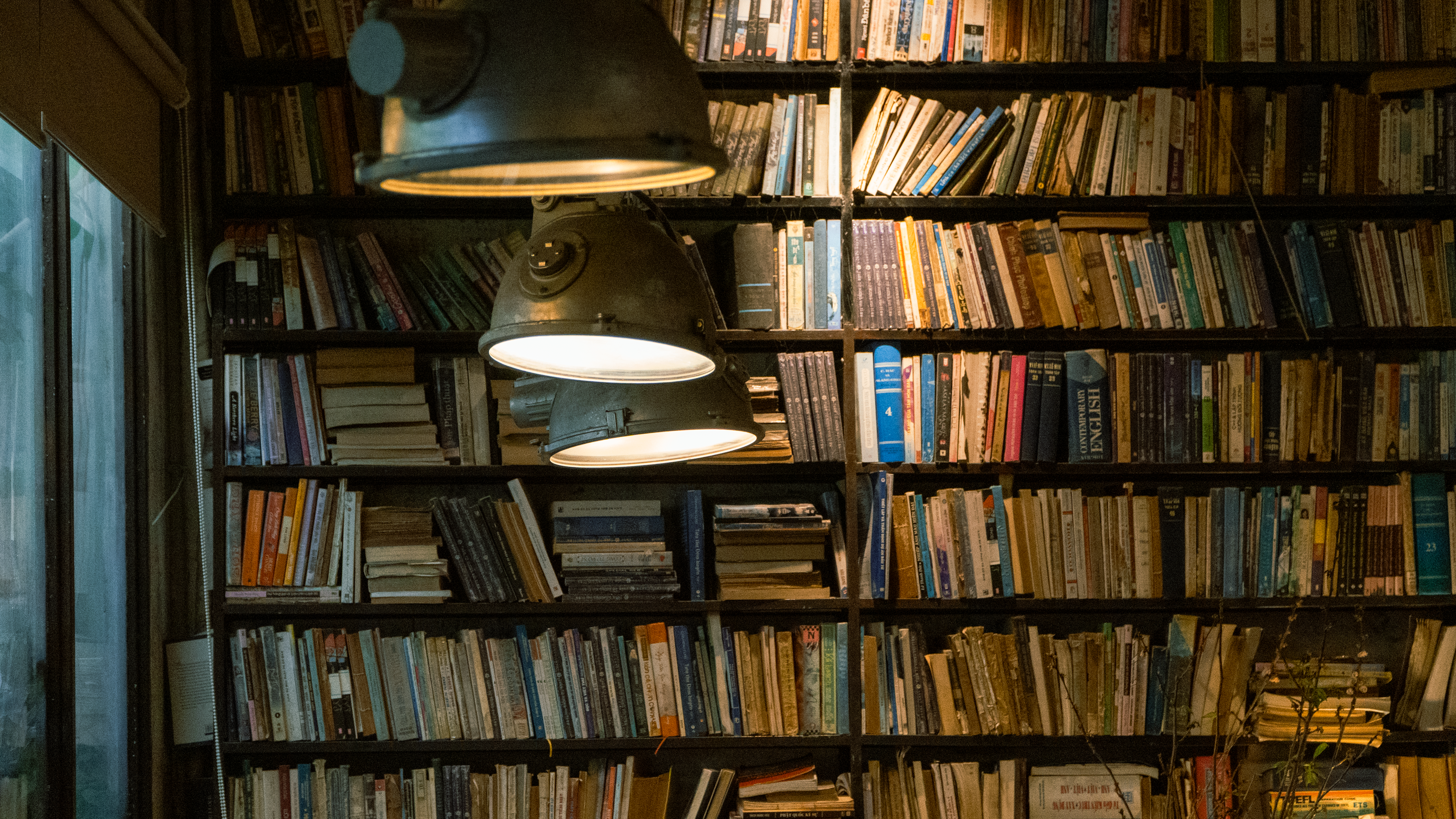 Bookshelves with industrial lighting create a warm, cozy library ambiance.