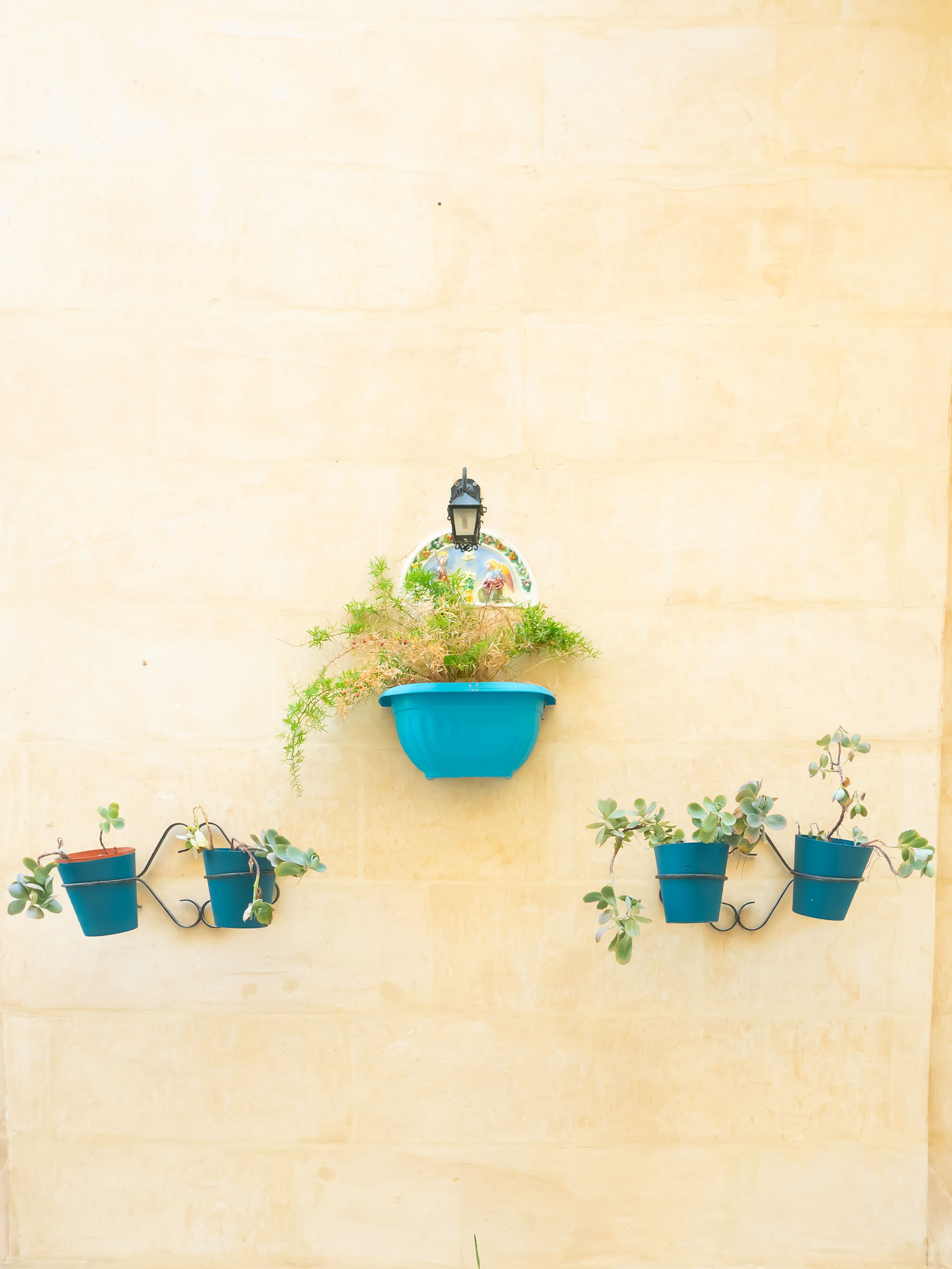 Small Space Vertical Gardening - indoor gardening ideas