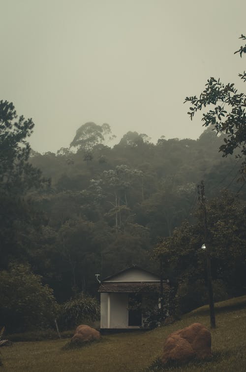 Free stock photo of abandoned house, house