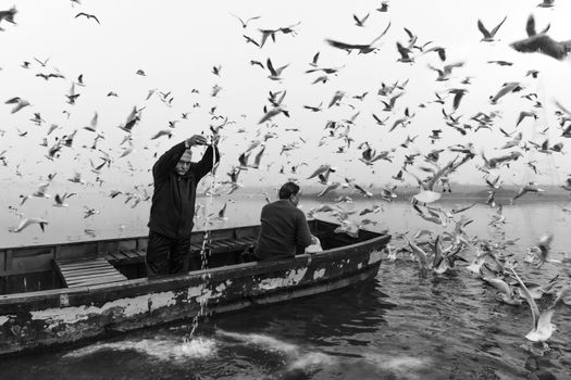 A striking black and white photo of two men in a boat surrounded by a flock of birds, creating a dynamic and lively atmosphere.