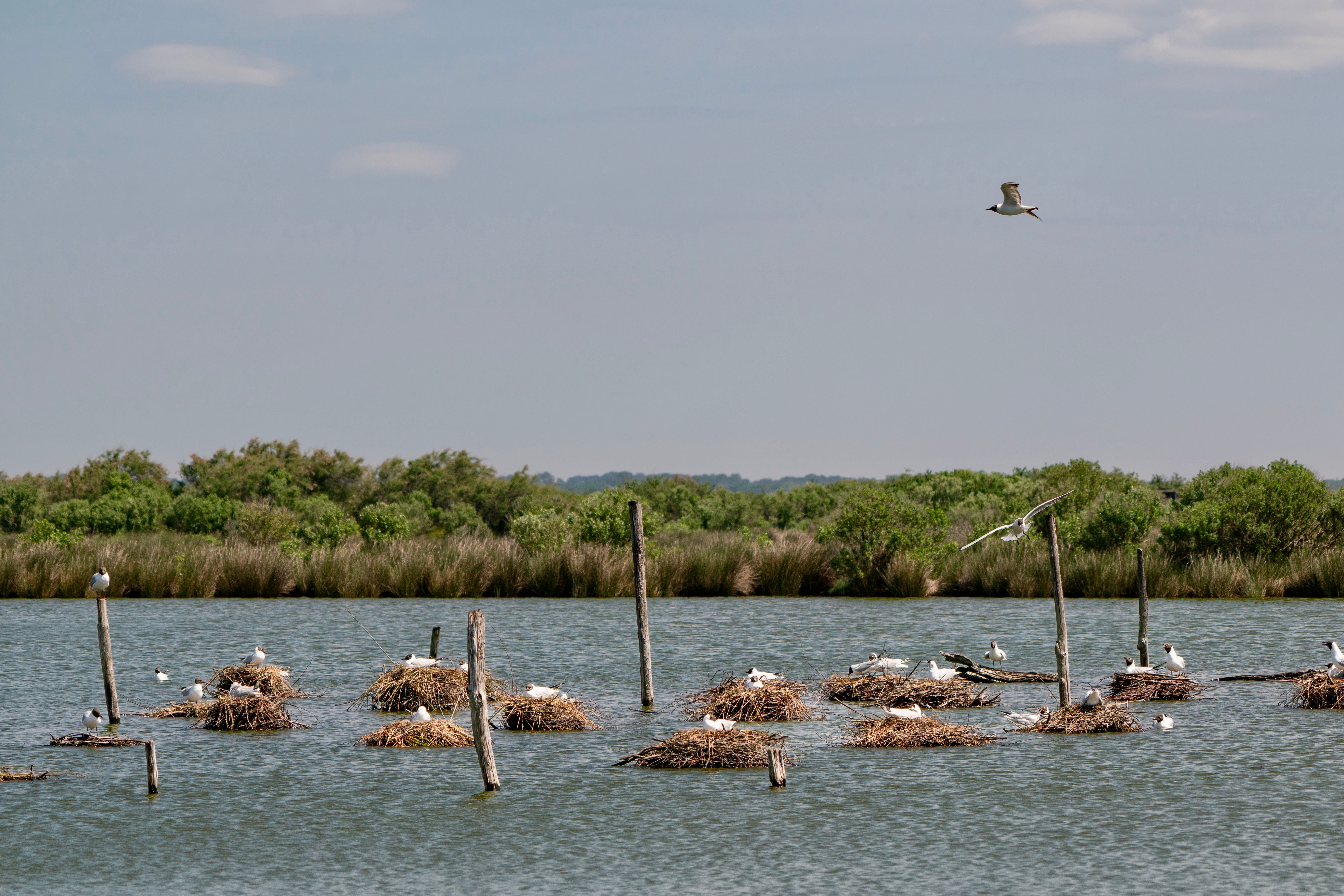 Riserva Naturale di Macchiatonda