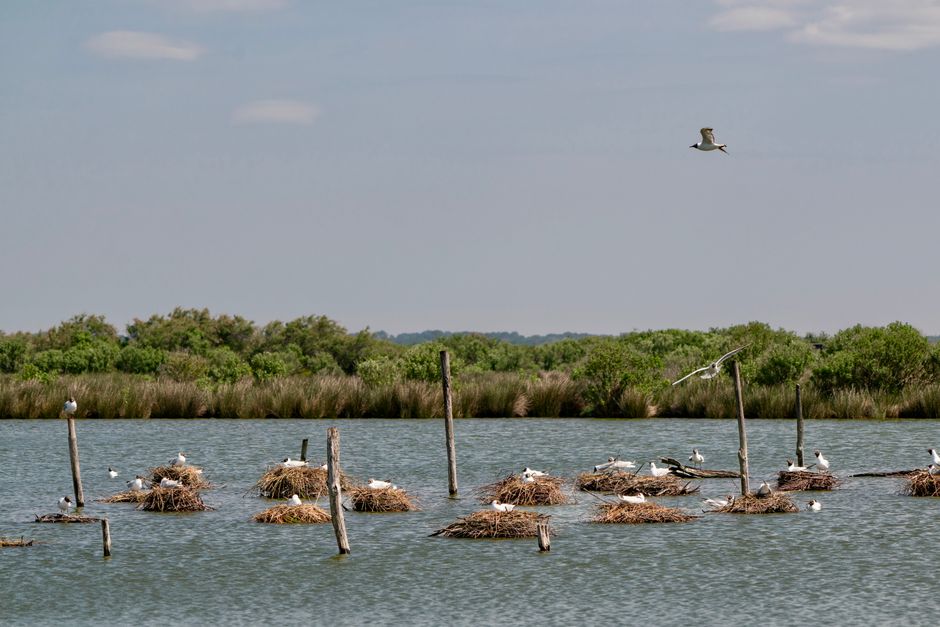 Kenfig NNR — view 2