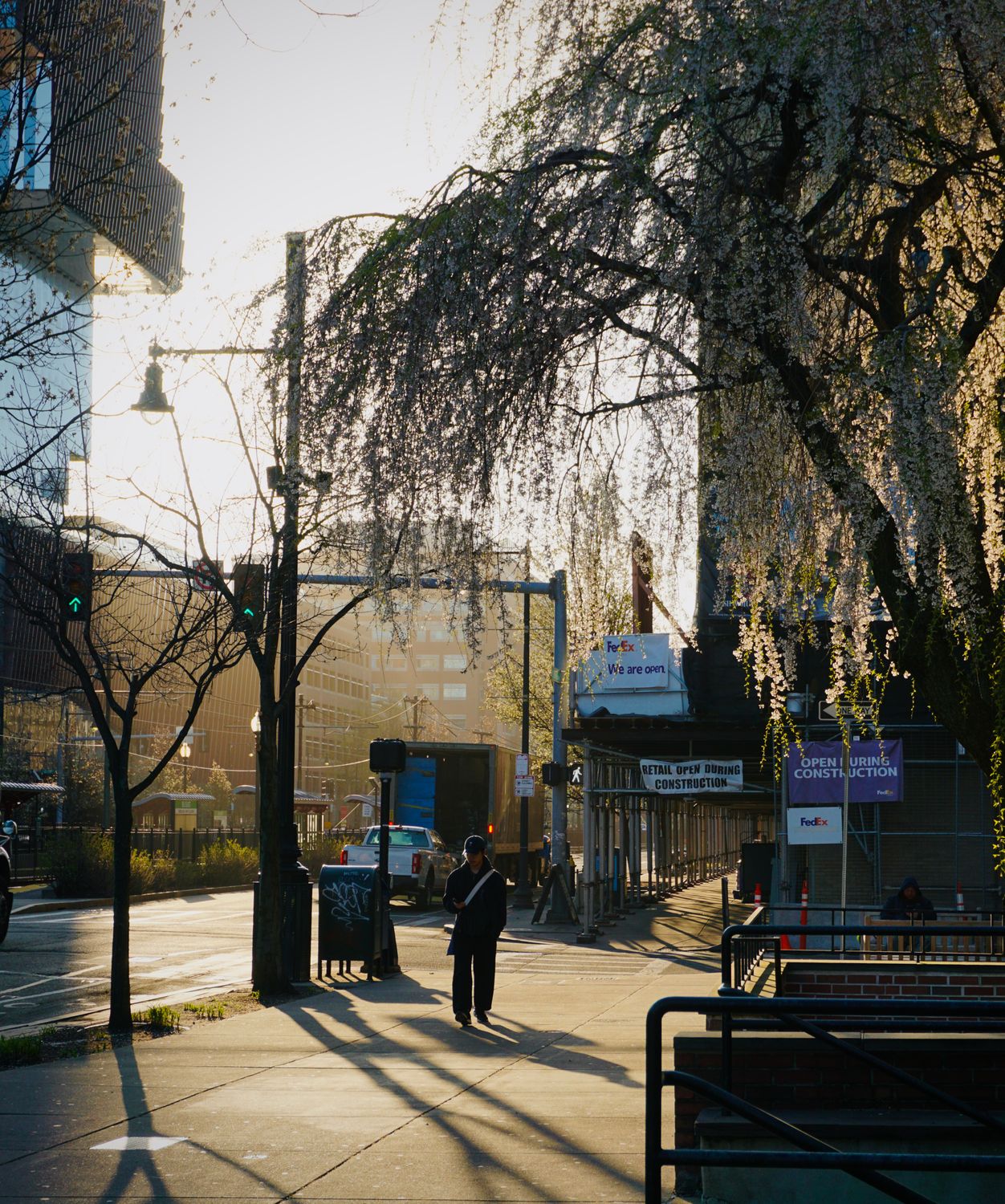 Urban Spring Morning in Downtown Street Scene · Free Stock Photo