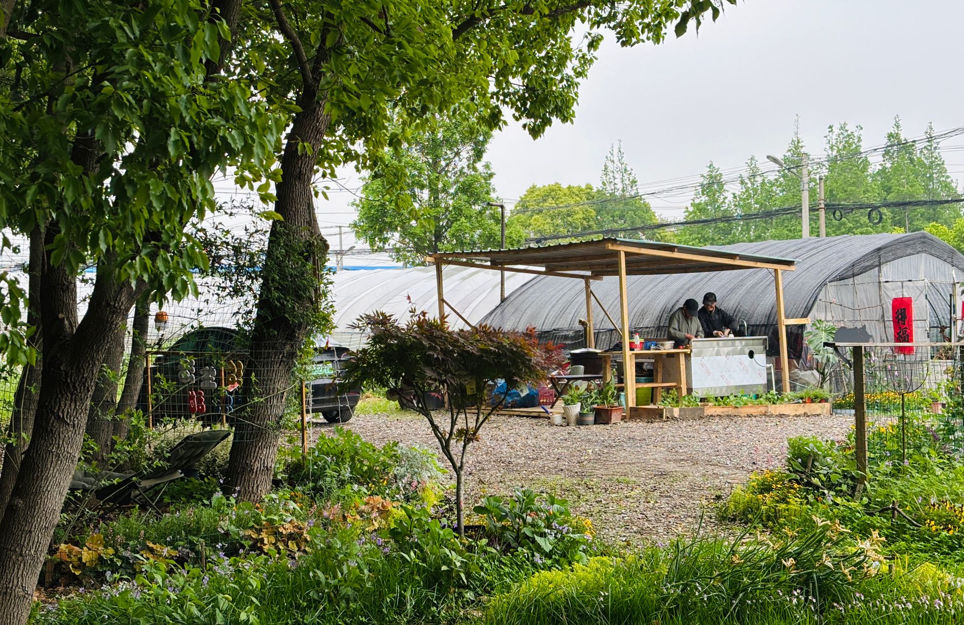 Company cover image