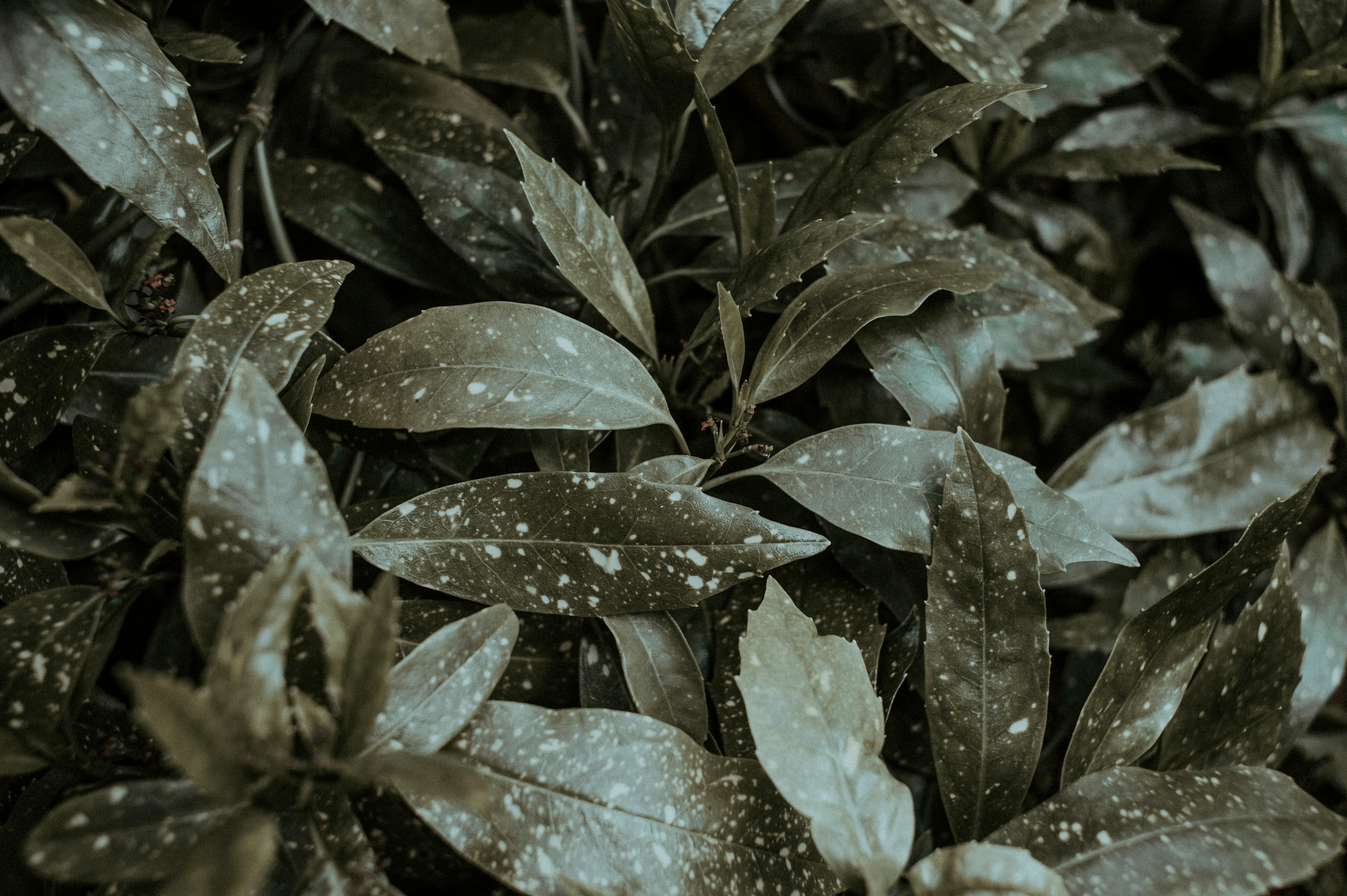 Featured image of post Hintergrundbild Tumblr Bilder Querformat - See a recent post on tumblr from @fxckthislife about hintergrundbild.