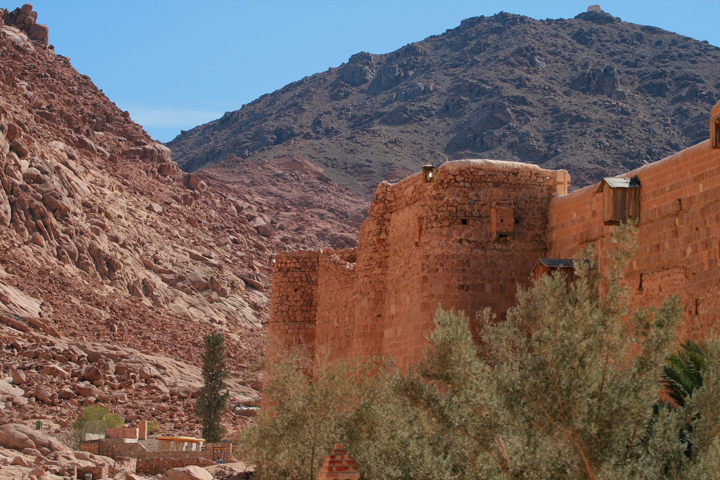 Cedars-Sinai Event Explores Ethics of Longevity Science | Newswise — Photo by Сокіл Sokil on Pexels