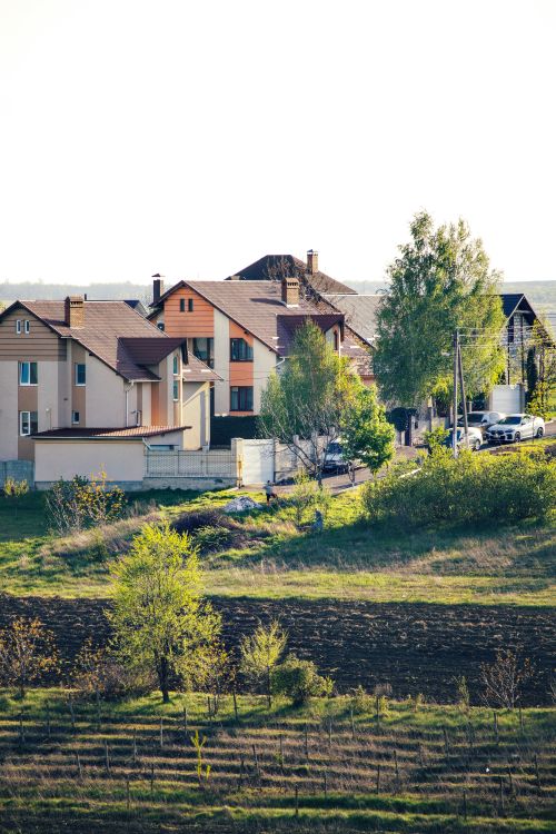 Free A serene view of suburban homes surrounded by greenery under a bright sky. Stock Photo