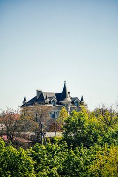 Elegant chateau roof visible behind vibrant green trees against a bright blue sky.