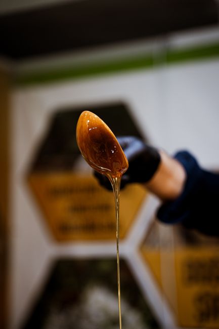 Close-up image of honey dripping from a wooden spoon held by a gloved hand.