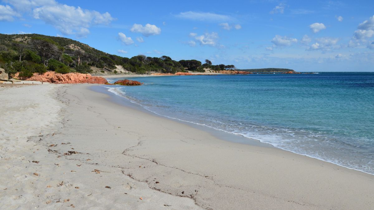 An empty Corsican cove with white sand, red rocks, pines and turquoise water