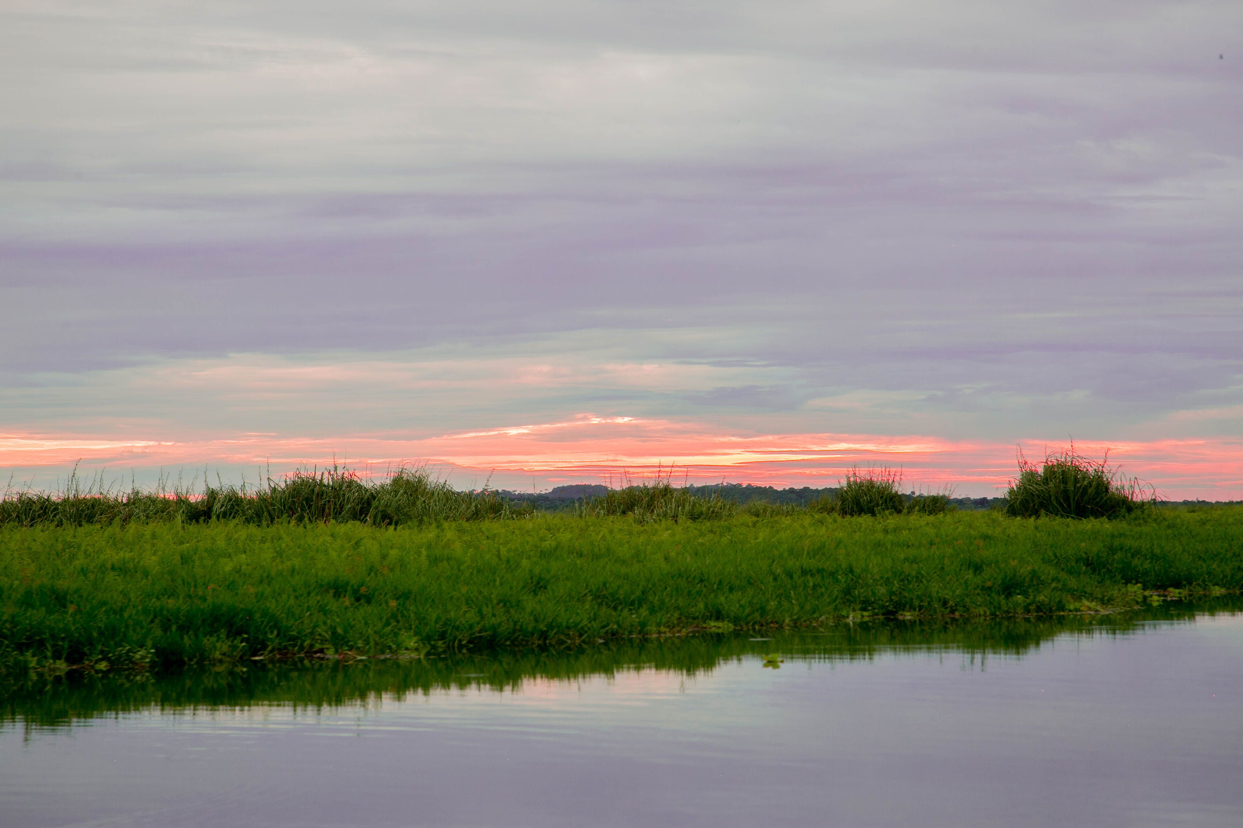 Ibera Wetlands