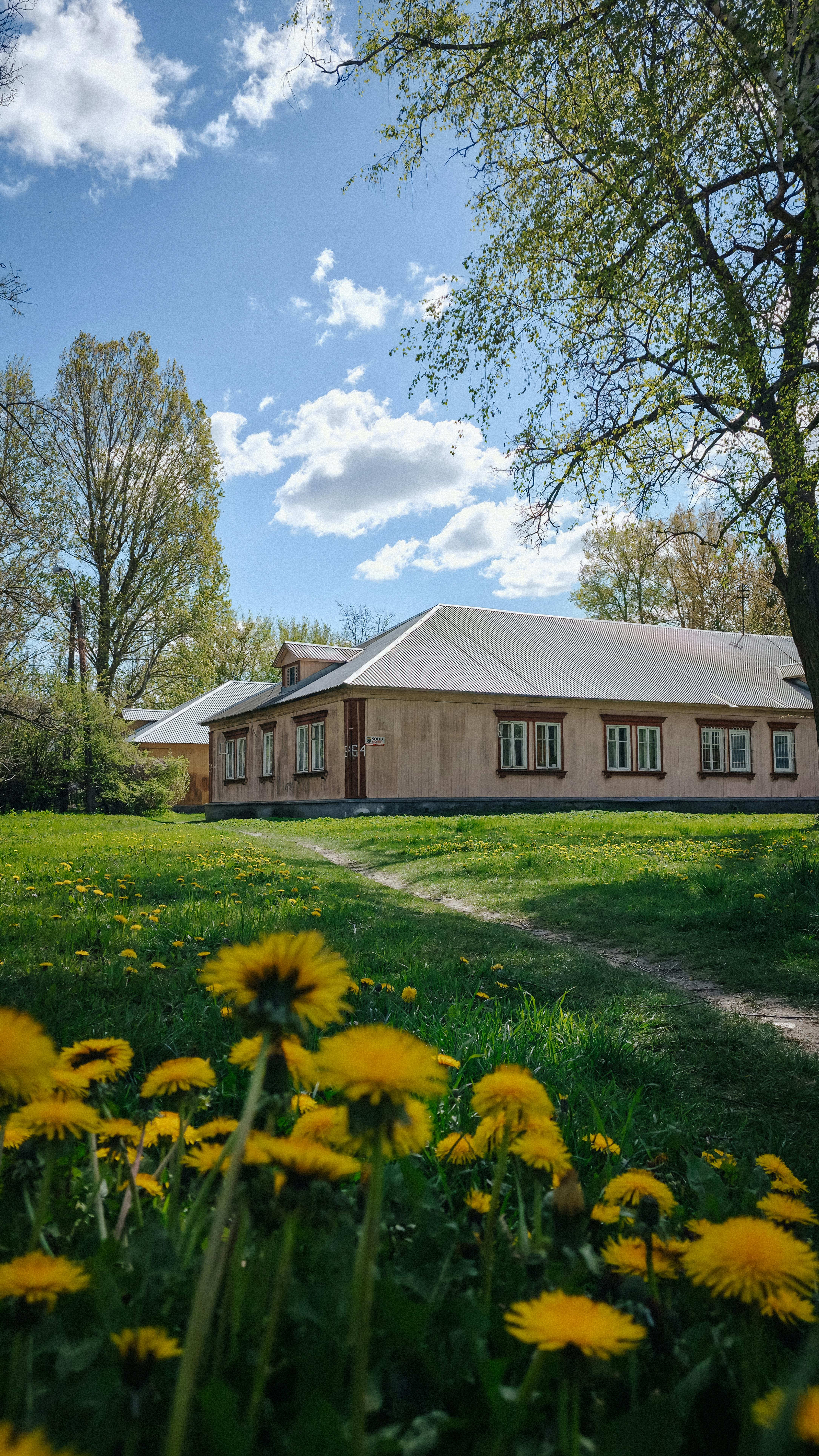 Capture of a rustic countryside house with blooming dandelions under a bright spring sky in Warszawa, Poland.