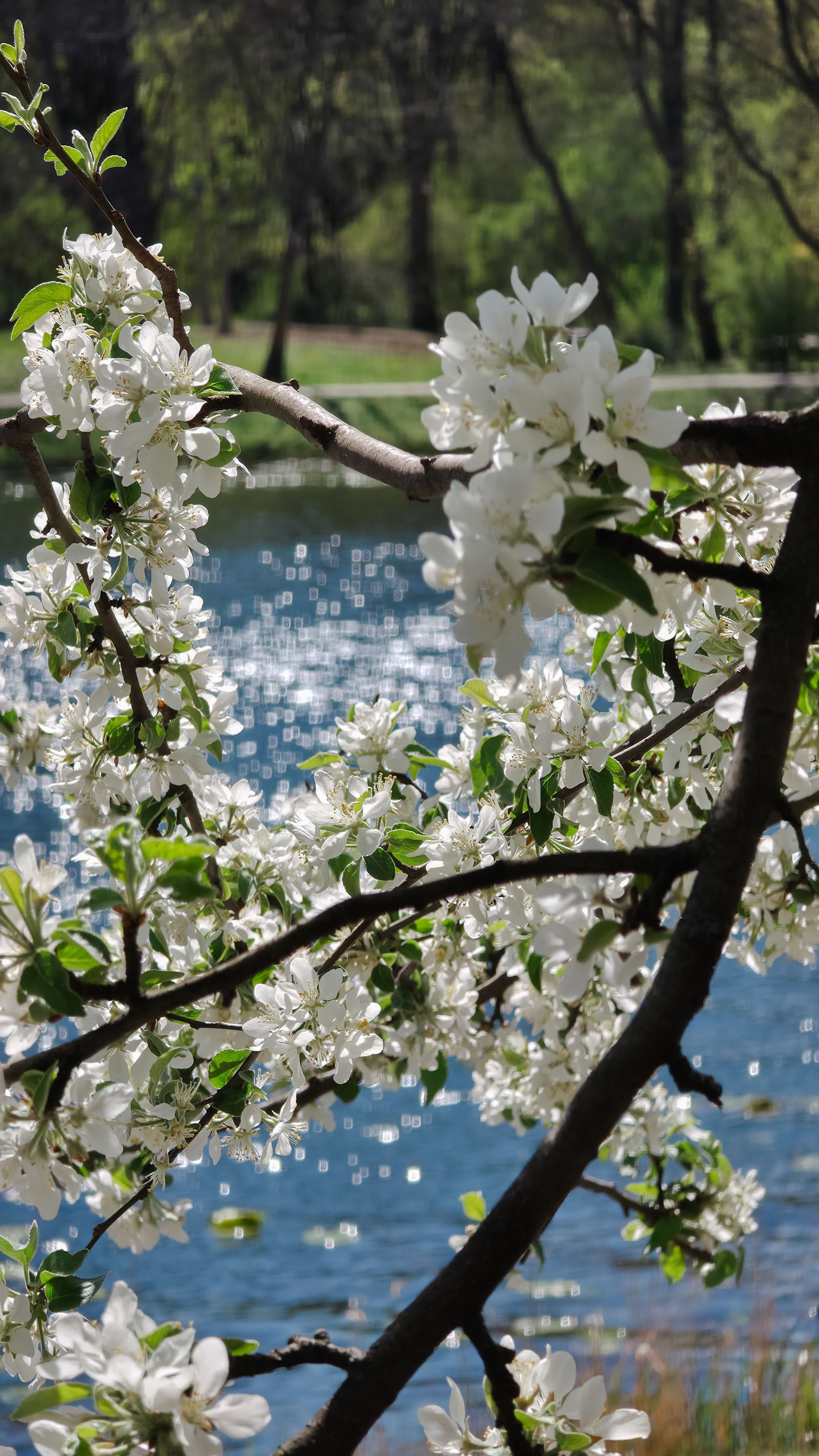 Spring In Wisconsin Photos, Download The BEST Free Spring In Wisconsin ...