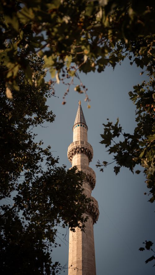 Free A beautiful minaret rises into the sky surrounded by lush, green leaves on a clear day. Stock Photo