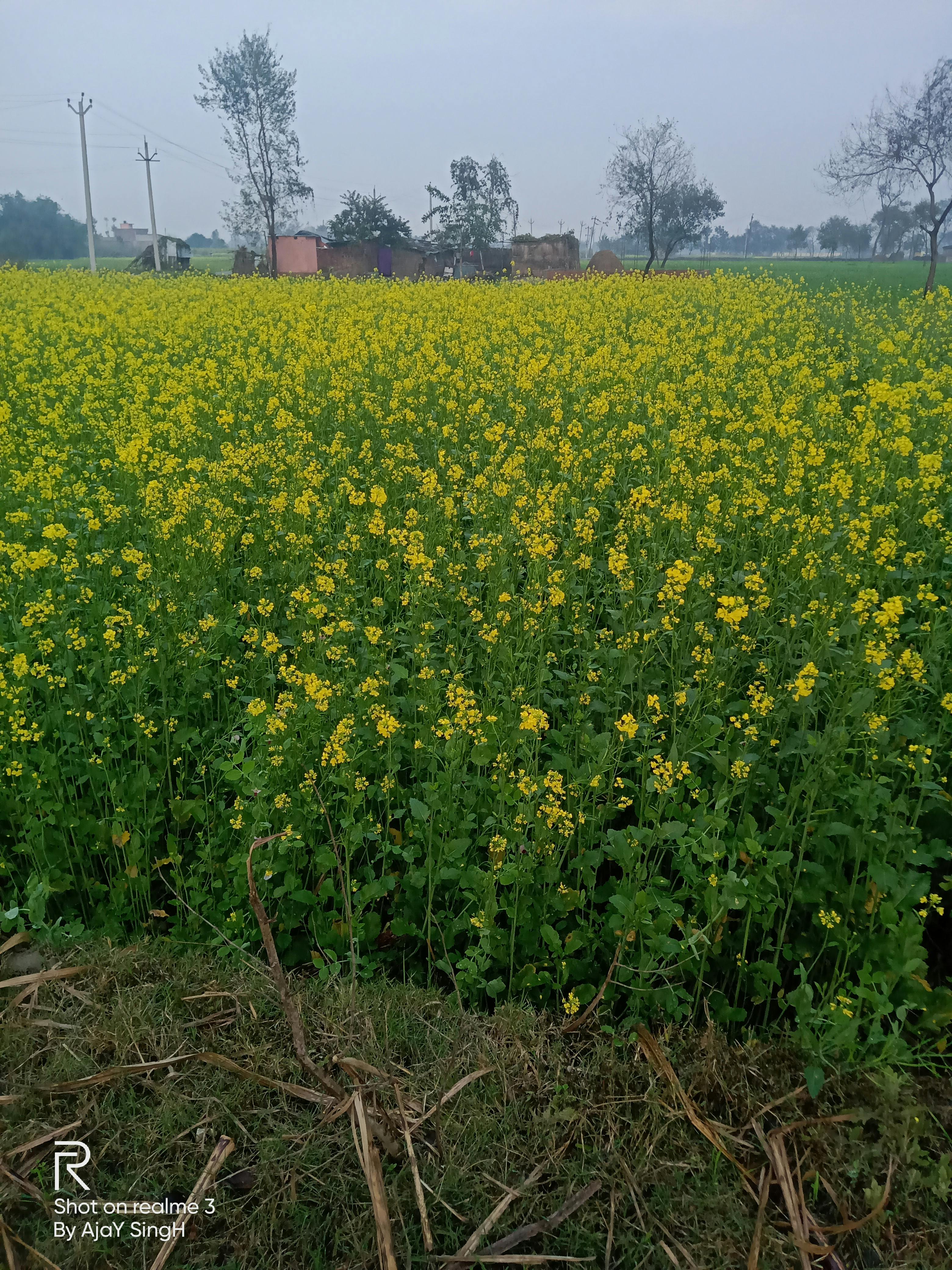 Executives reviewing SaaS outage risk and insurance program around laptop