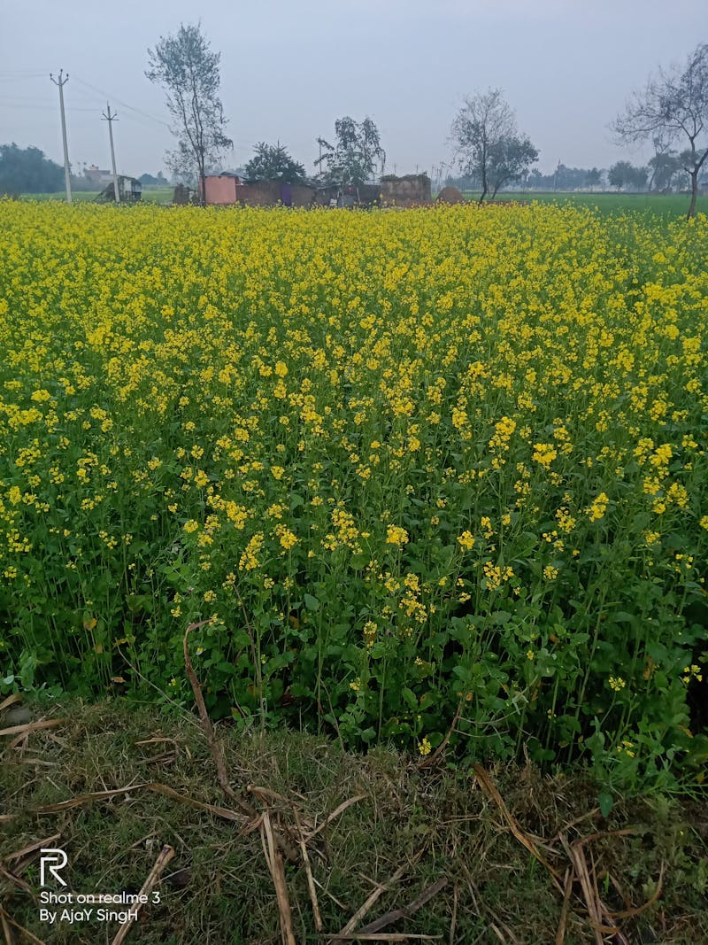 深圳软件公司如何用肇新智能文档比对确保API文档版本与代码实现保持一致