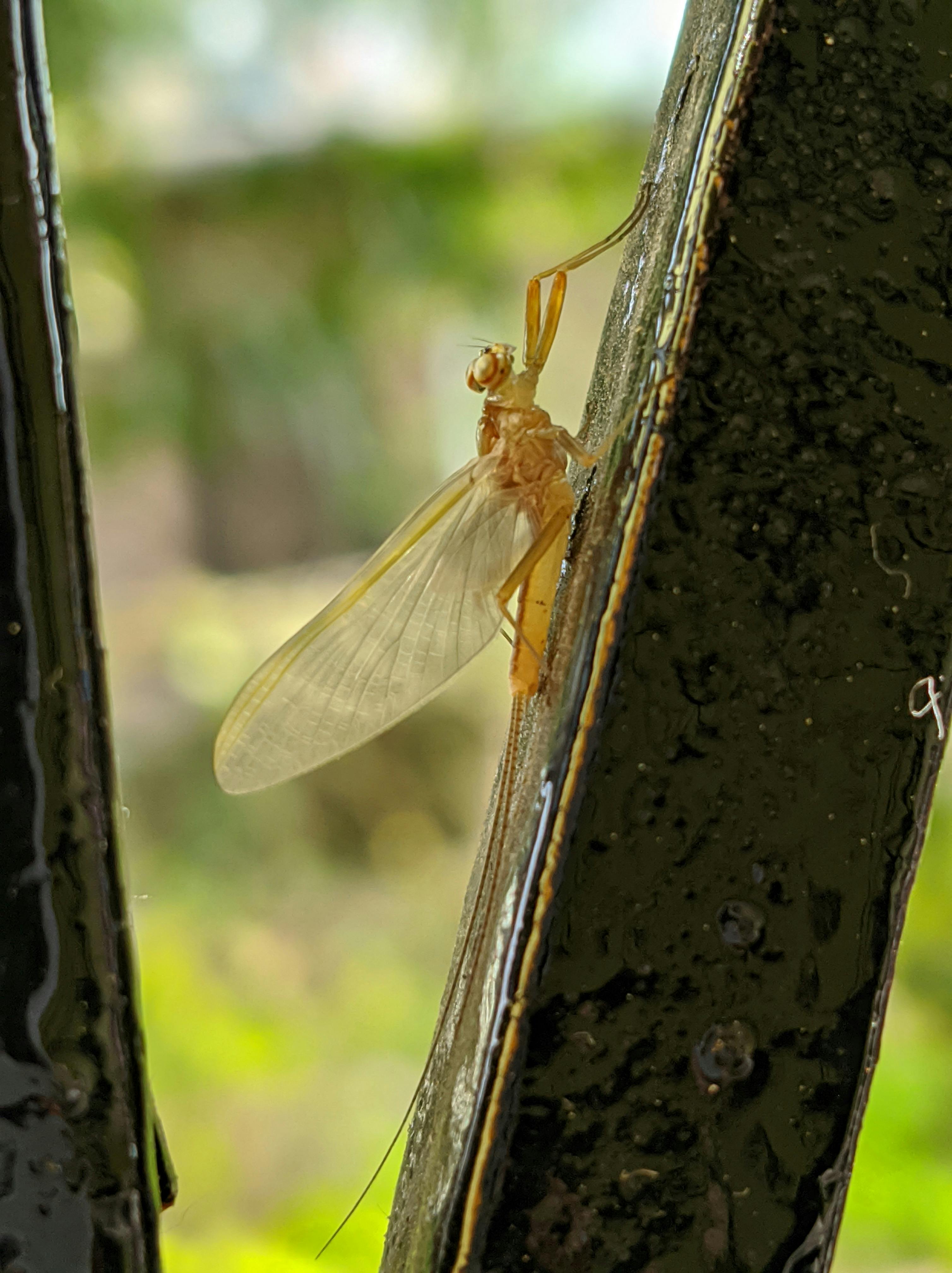 보험 서류와 돋보기 - Pexels