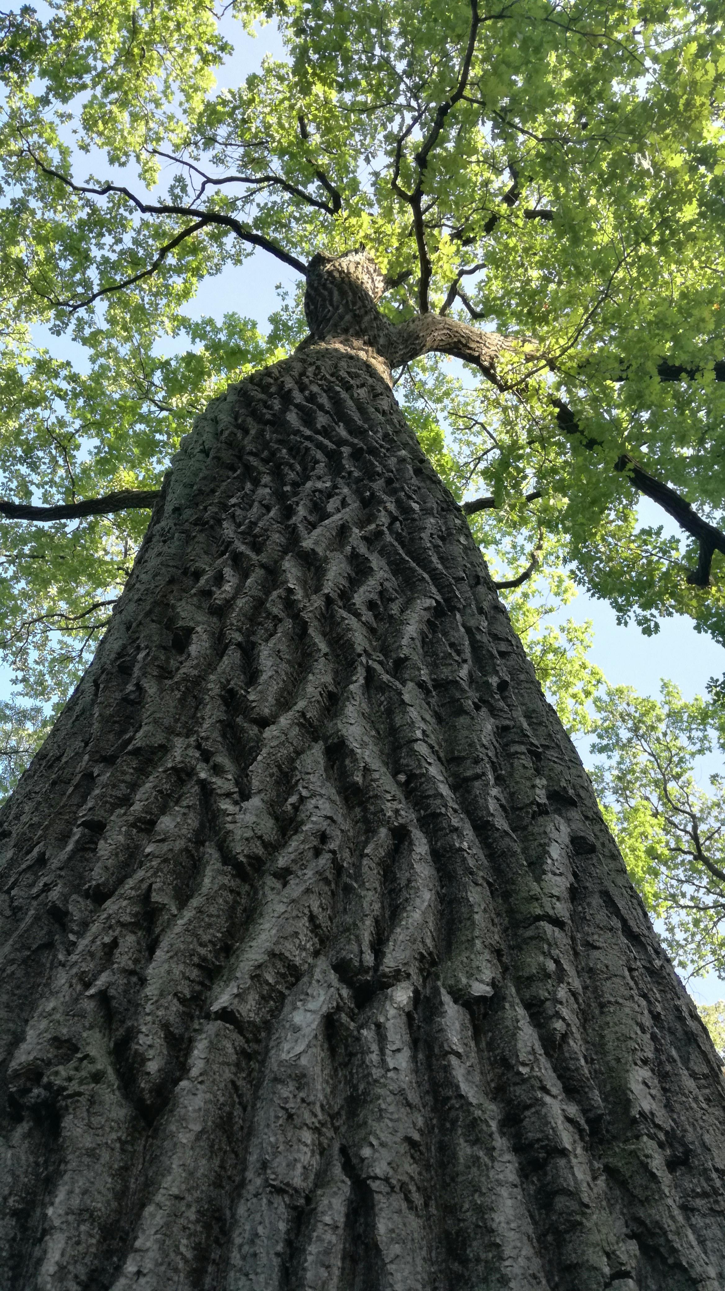 Person browsing an online store on a smartphone while surrounded by packages