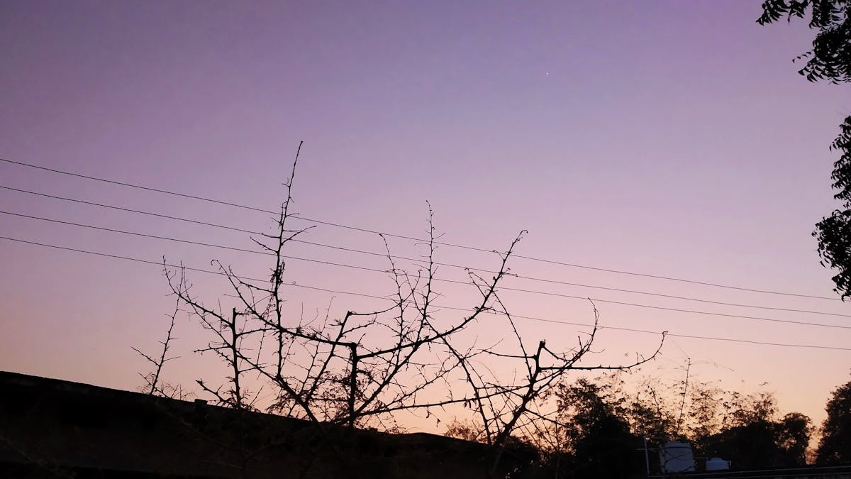 Grilled salmon with vegetables and lemon on a plate