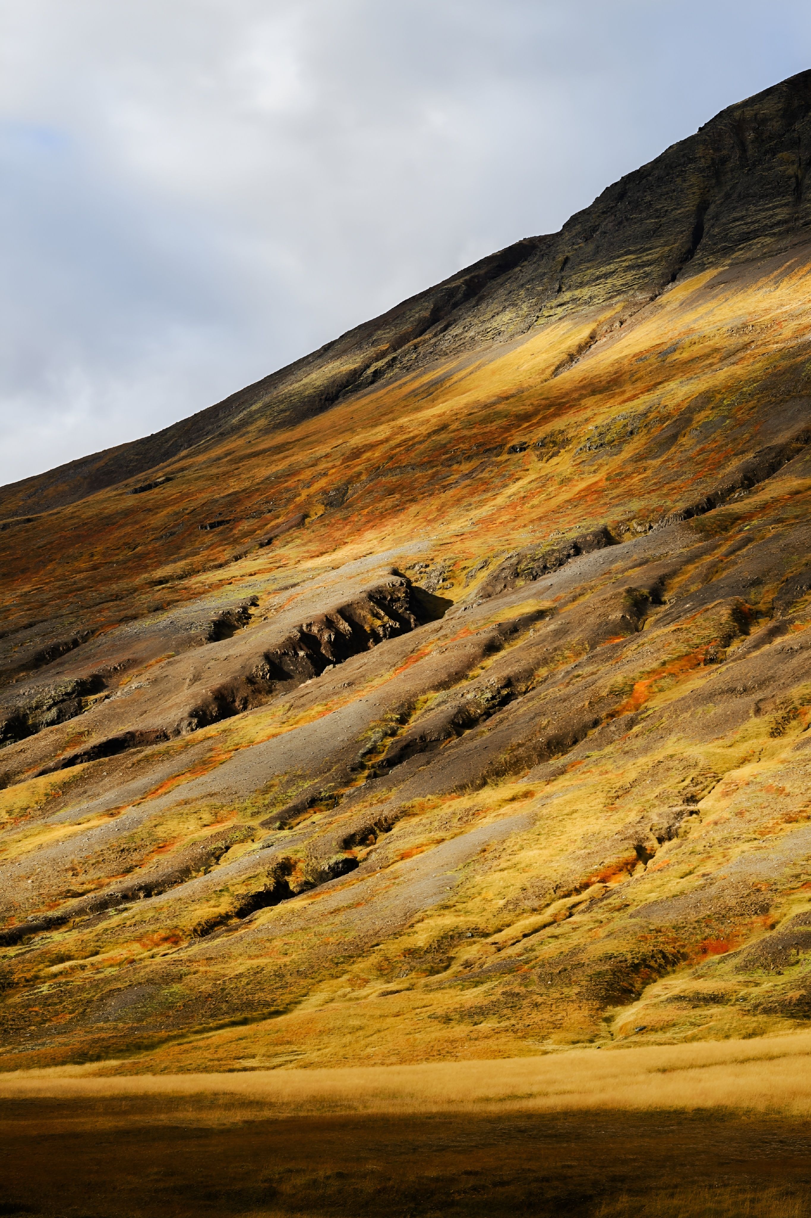 Dramatic golden-hued hillside landscape illuminated by sunlight, showcasing autumn beauty.