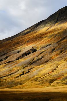 Dramatic golden-hued hillside landscape illuminated by sunlight, showcasing autumn beauty.