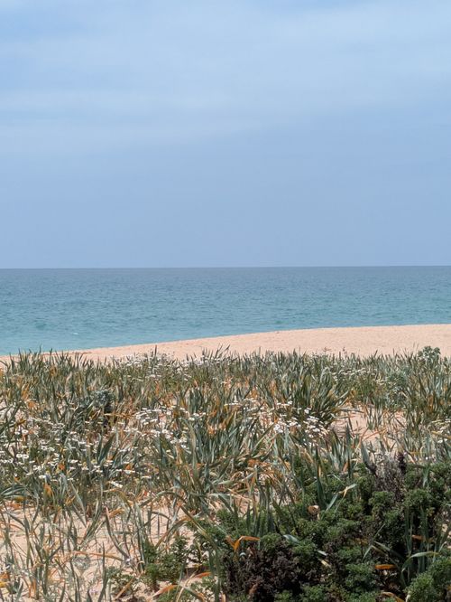 Free A tranquil view of the Algarve beach with gentle waves and lush vegetation under a blue sky. Stock Photo