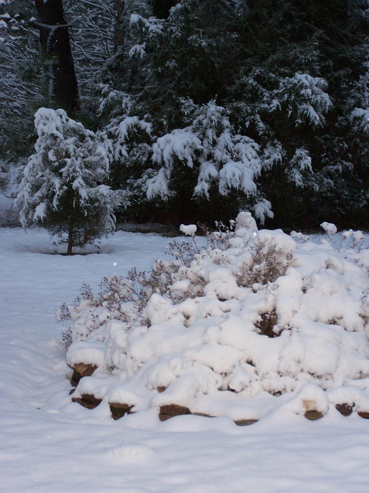 Fresh berries, nuts, and seeds arranged in small bowls on a kitchen counter